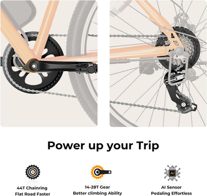 Eb5 Electric Bike 500W Motor 40Miles 20Mph